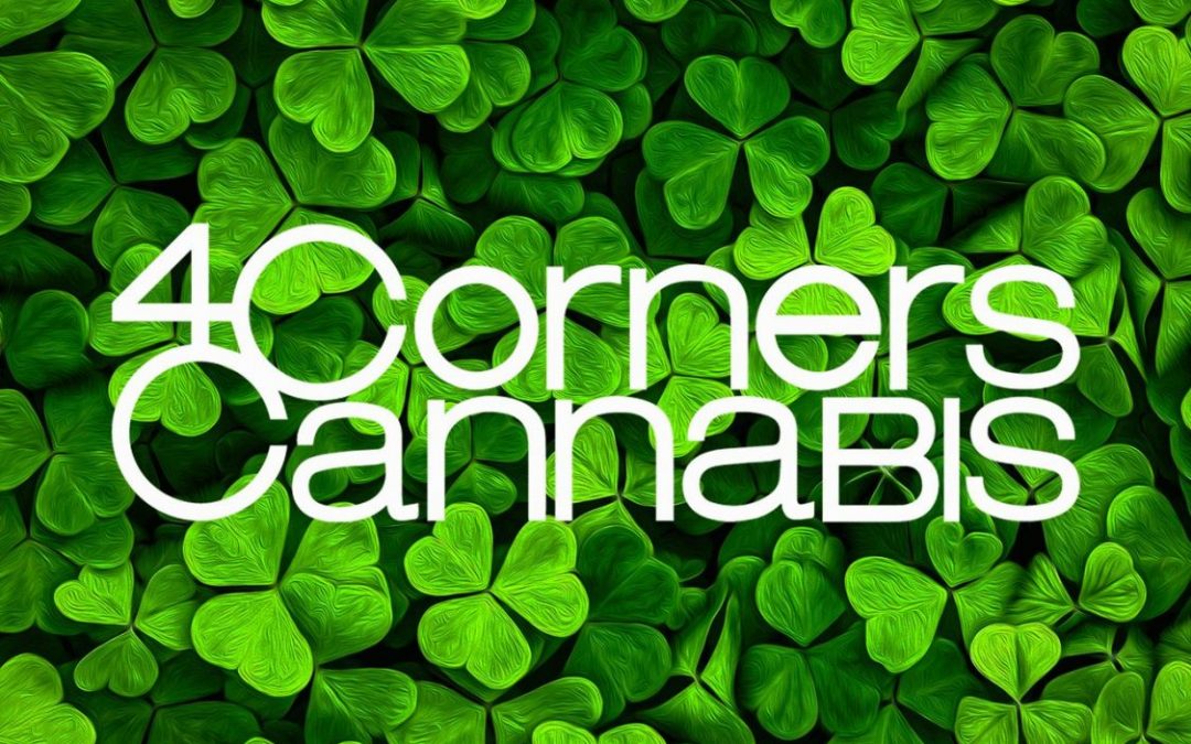 4 corners cannabis avocado cbd oil