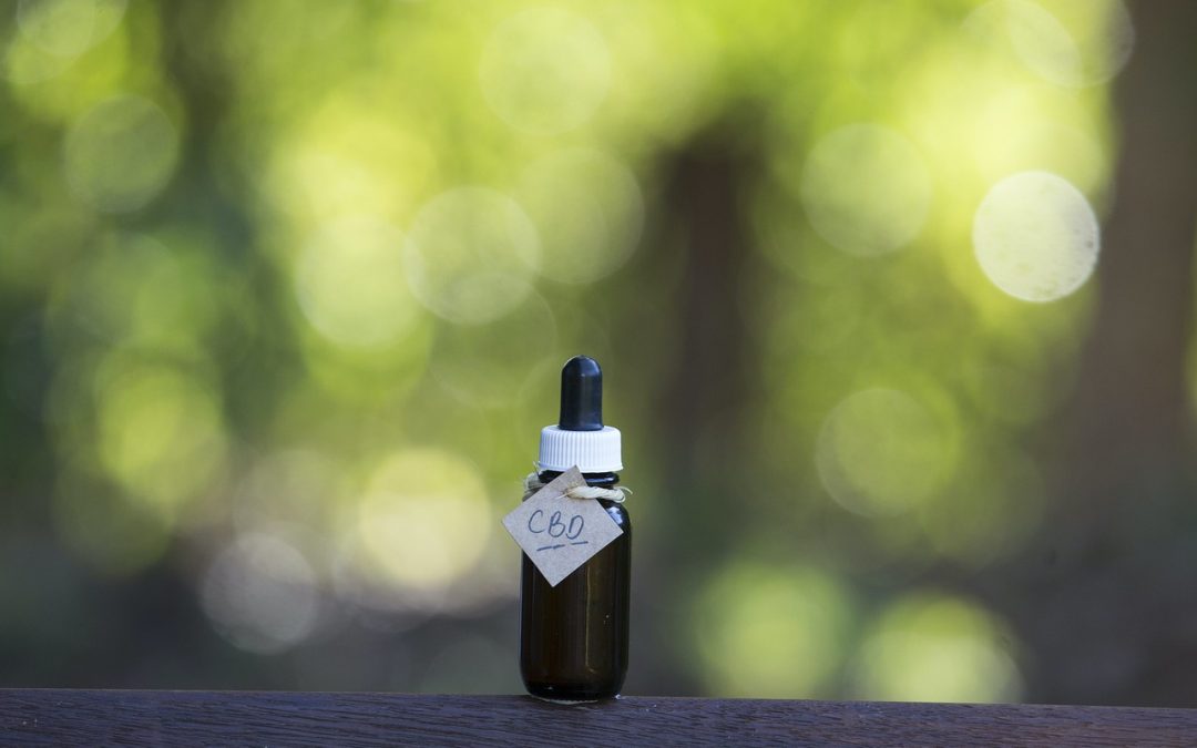 Avoid CBD Oil Free Trial Scams – What to Know